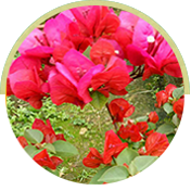 ��������֧��